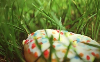 Beignet coloré niché dans une prairie luxuriante