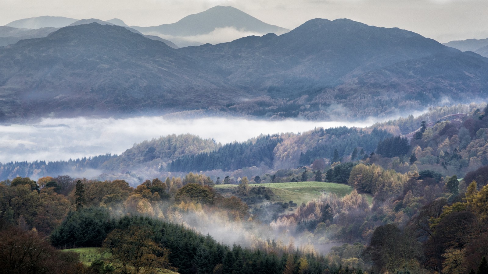 Vue d'une vallée avec quelques collines et des arbres (hauts plateaux, google, formes montagneuses, montagne, brume)