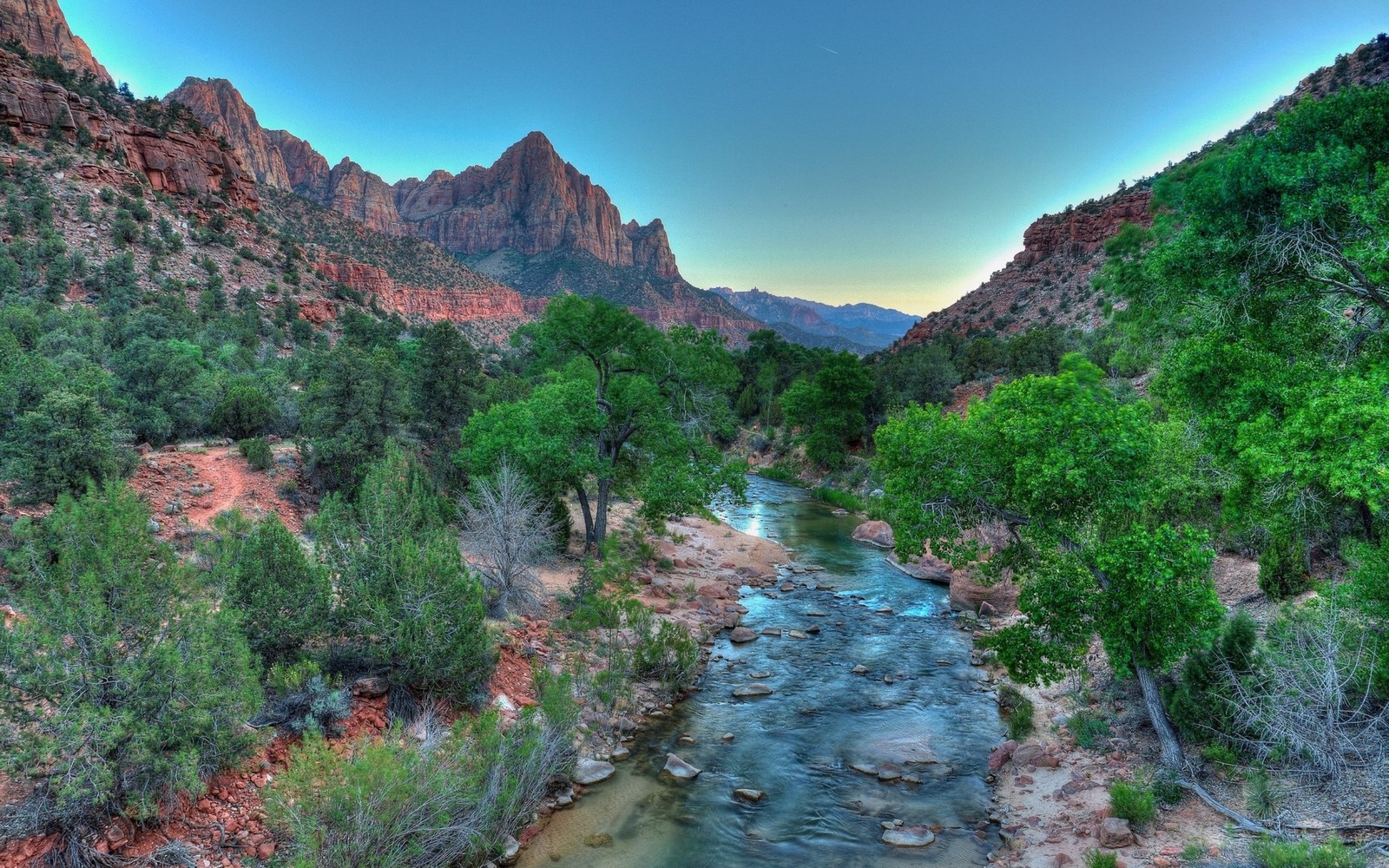 Una vista de un río que corre a través de un denso bosque verde (parque nacional zion, zion national park, parque, parque nacional, naturaleza)