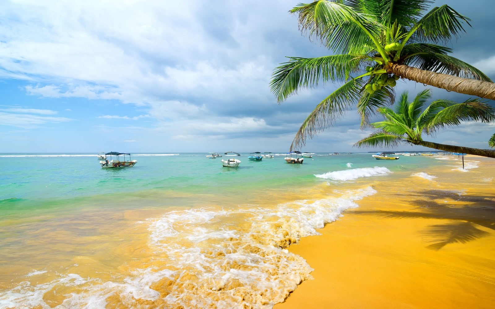 Palmeiras em uma praia com barcos na água (praia, mar, trópicos, costa, oceano)