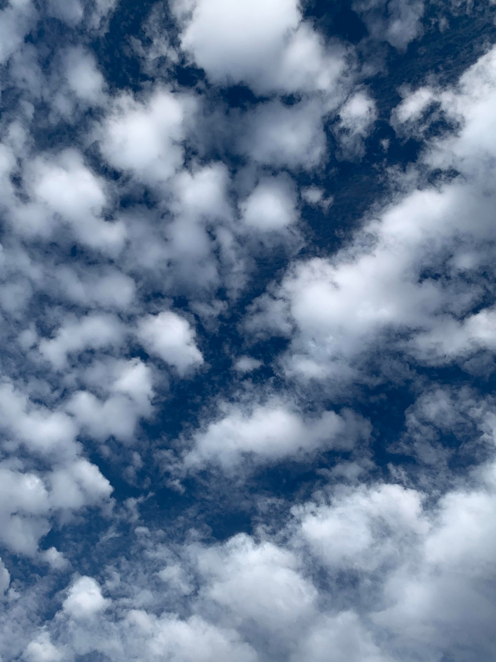 Un avion volant dans le ciel avec des nuages en arrière-plan (nuage, eau, bleu, plante, cumulus)