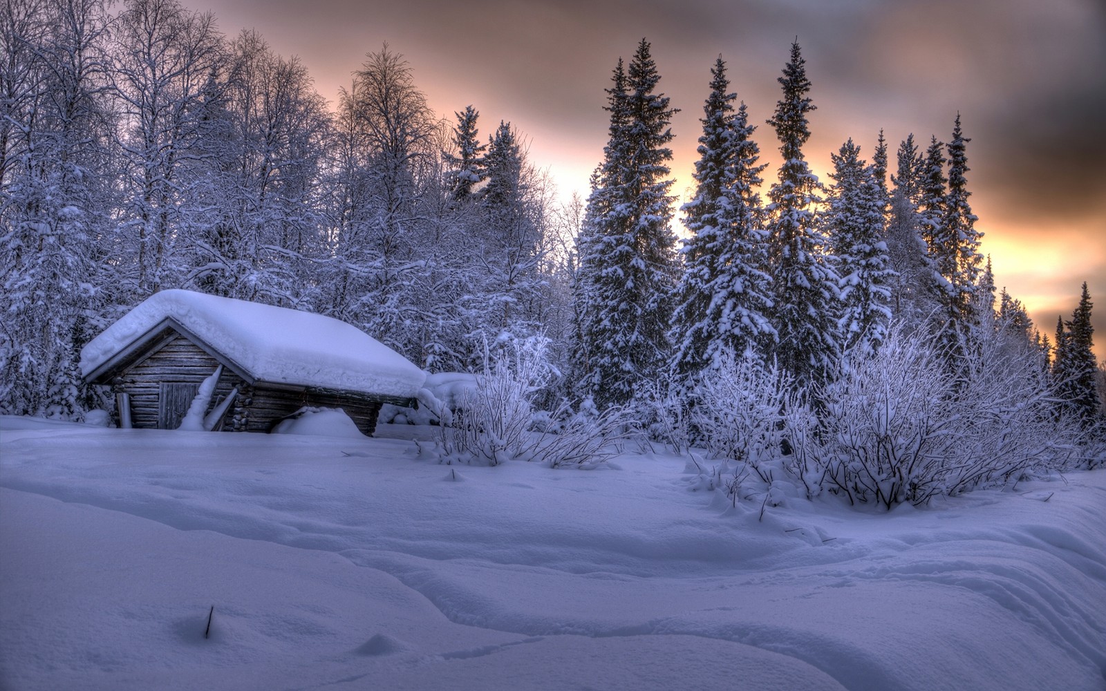 Снежная хижина в лесу на фоне заката (снег, зима, природа, дерево, замораживание)