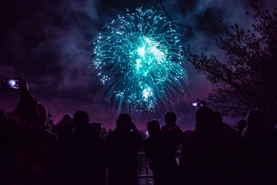 feuerwerk, blau, lila, licht, ereignis