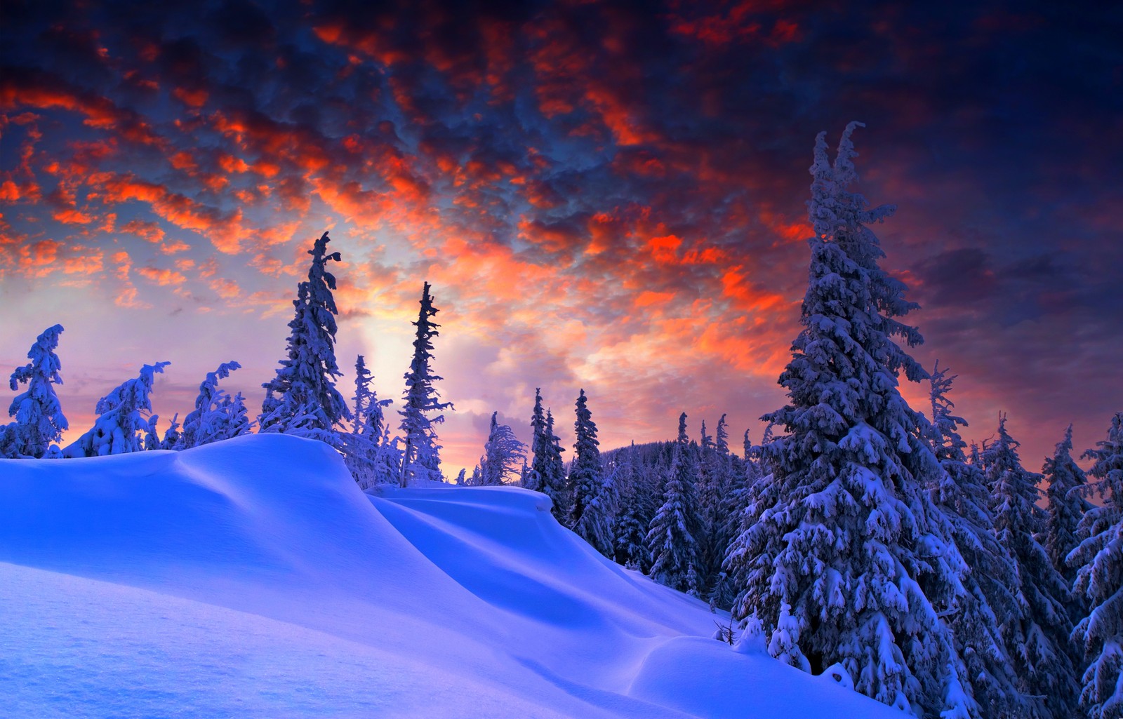 Uma vista de uma montanha nevada com árvores e um pôr do sol (inverno, neve, natureza, árvore, congelamento)