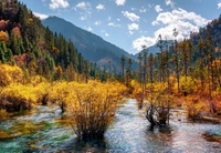 Autumn Reflections in Jiuzhaigou: A Serene Wilderness Landscape with Vibrant Vegetation and Flowing Waters.