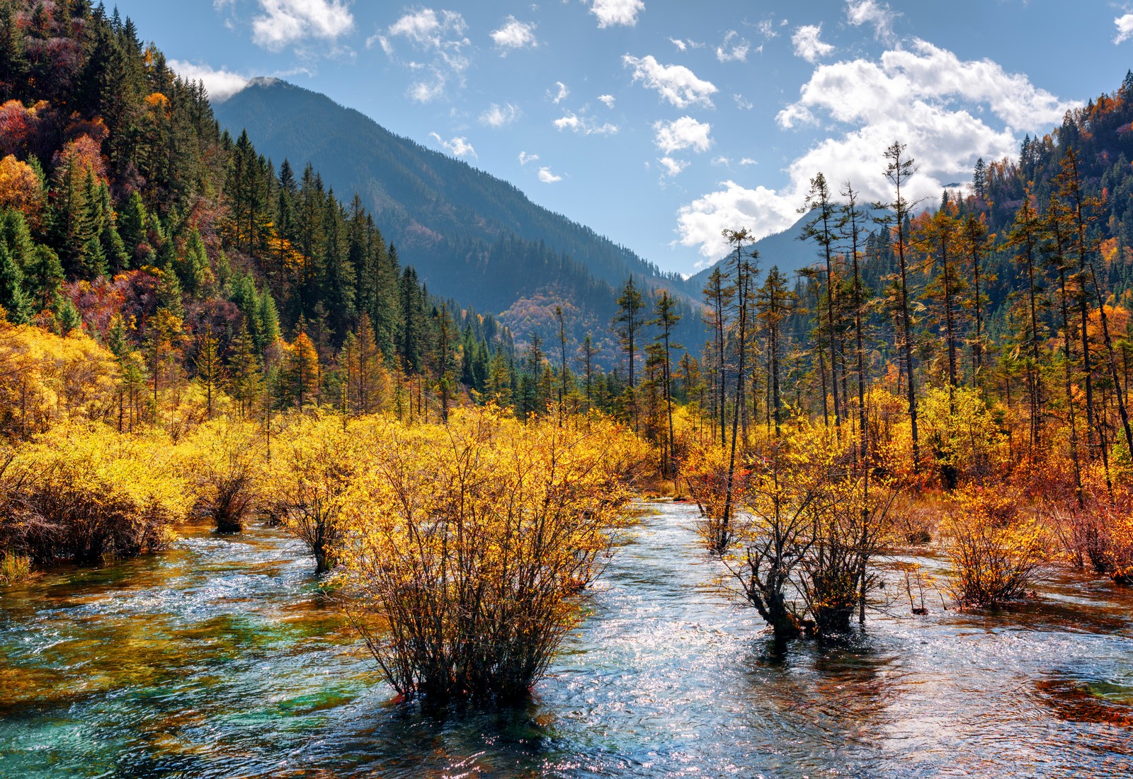 A river surrounded by trees and mountains in the fall (nature, wilderness, reflection, river, mountain)