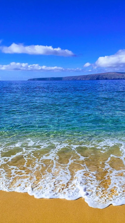 Praia tranquila com águas azuis claras