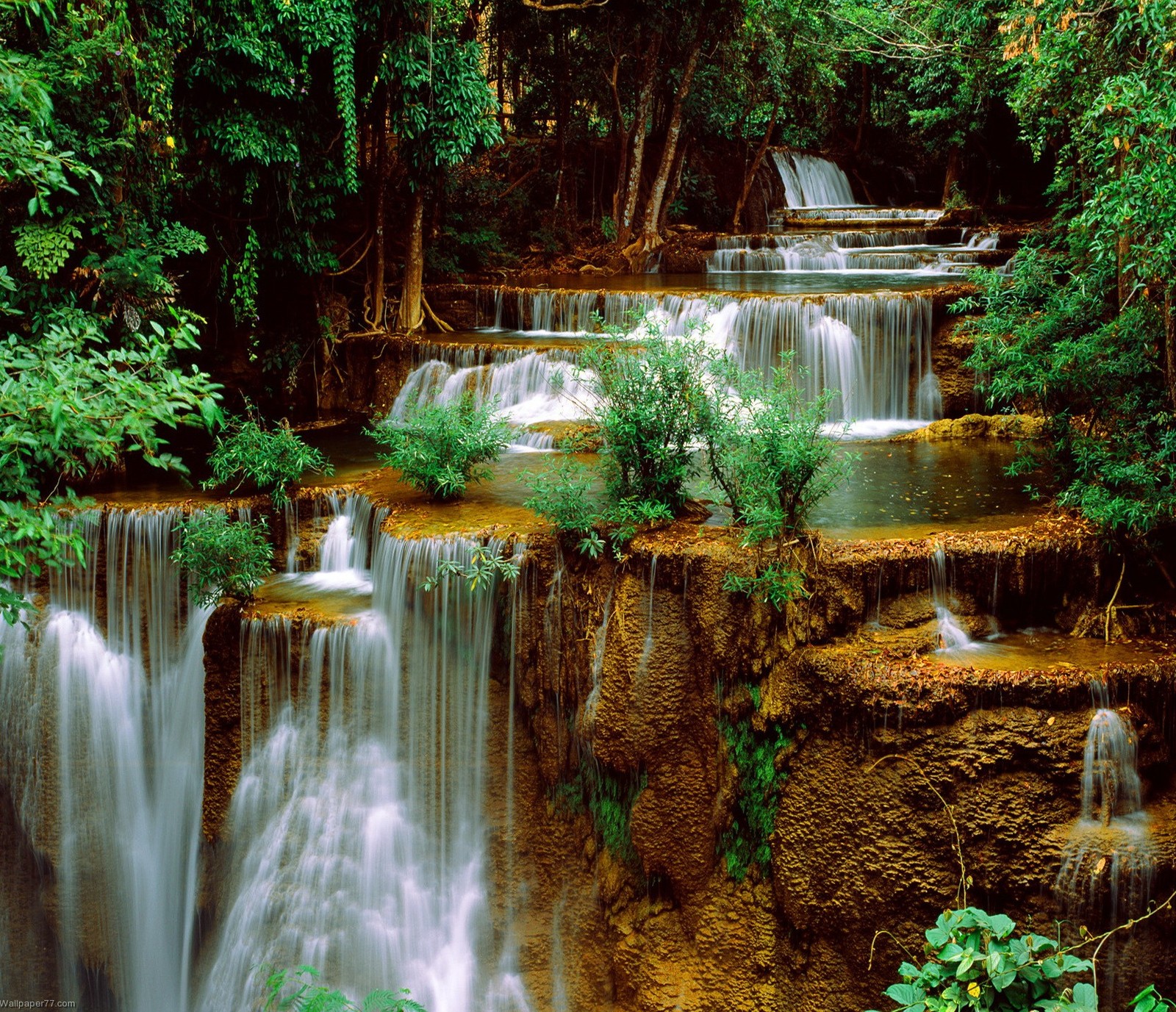 Cachoeira na selva com árvores e água (amazing cascade, natureza, cachoeiras)