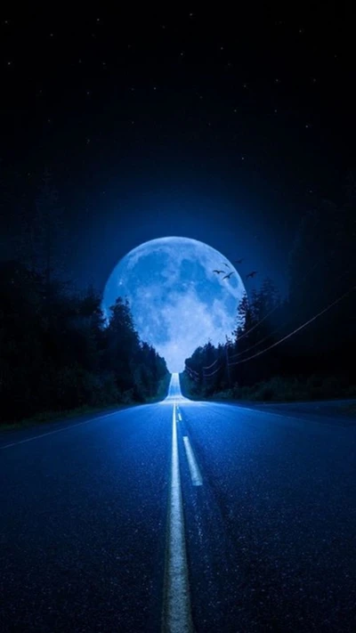 azul, luna, noche, camino