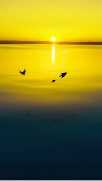 gold sunset, landscape, sea