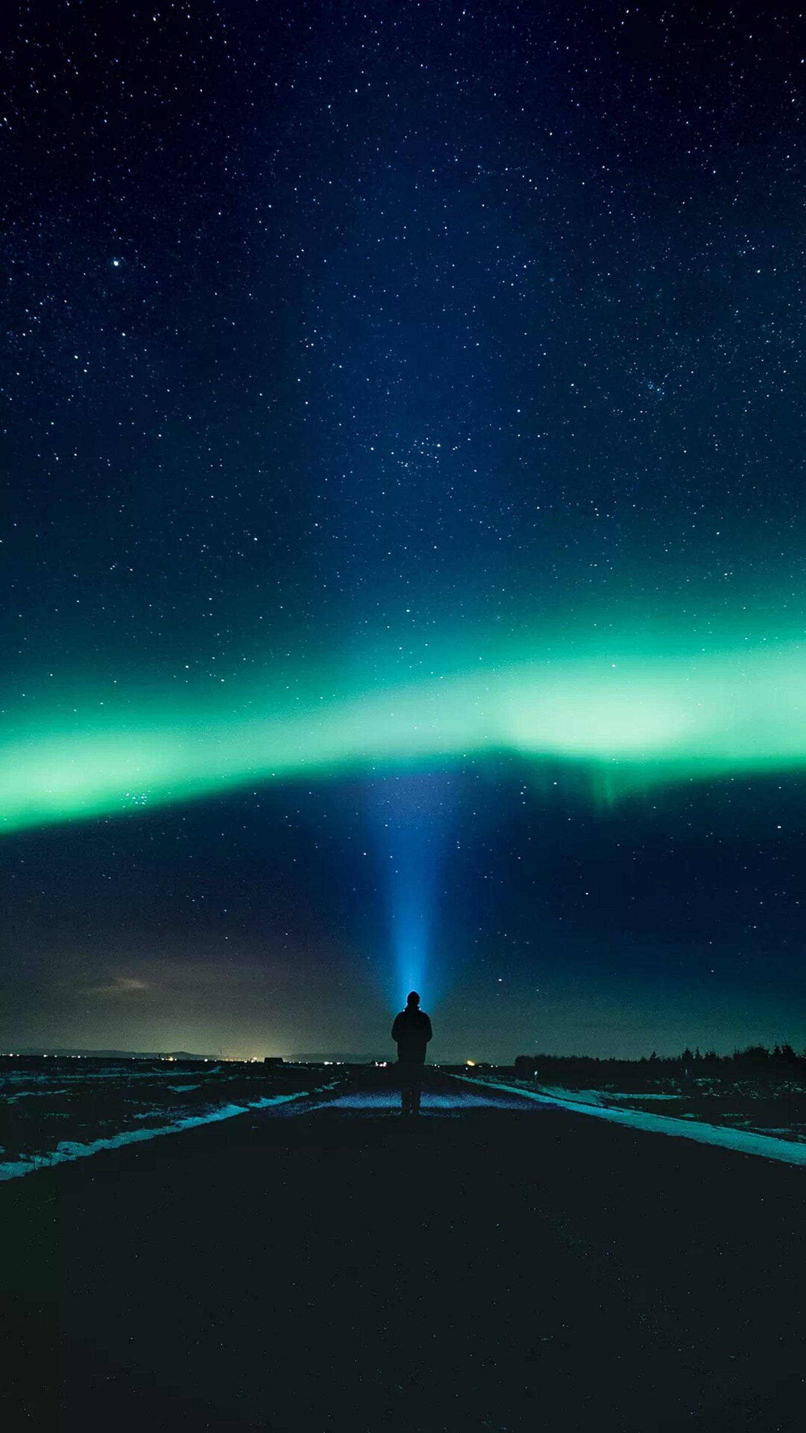 Giraffe, die auf einer straße mit einem hellgrünen licht am himmel steht (aurora, lichter, raum, himmel, nacht)