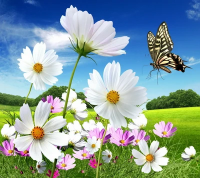 Colorful Butterflies and Daisies in a Spring Meadow