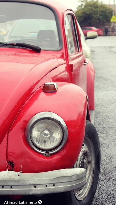 Classic Red Beetle: A Timeless Beauty