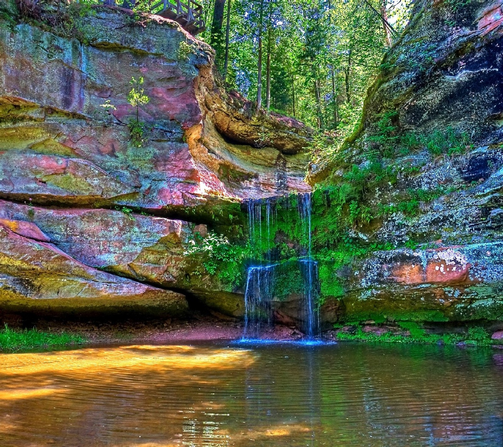 There is a small waterfall flowing into a small pond in the woods (nature)