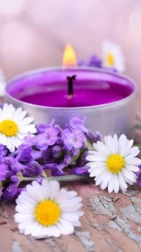 Romantic Still Life with Purple Candle and Fresh Flowers