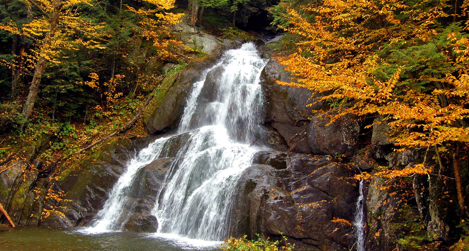 Uma cachoeira na floresta com folhas amarelas no chão (natureza, riacho, vegetação, cachoeira, reserva natural)