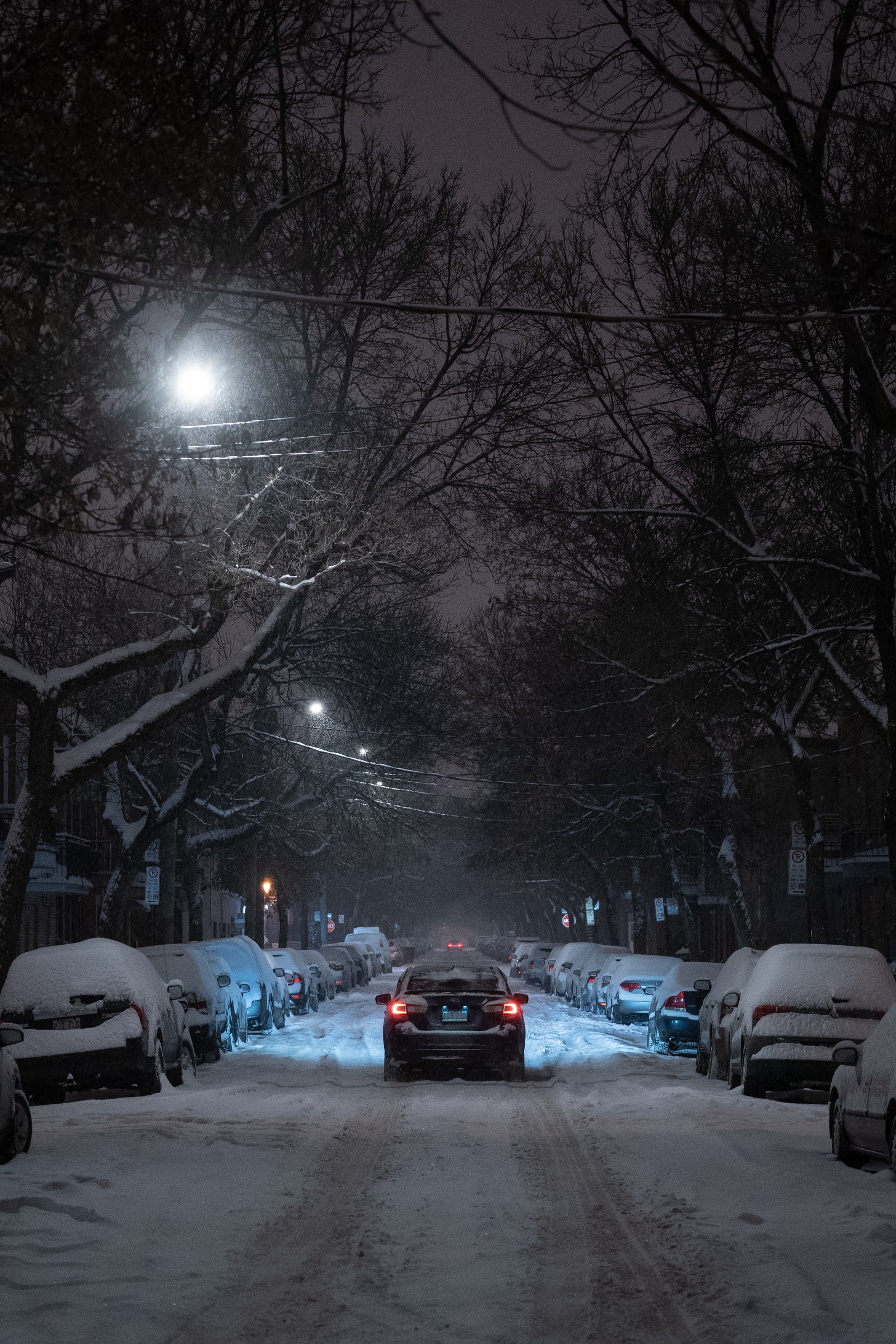 Cars parked on a snowy street at night with a full moon in the sky (snow, winter, night, street light, winter road)