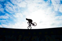 Silhouette of a BMX rider performing a stunt against a dramatic sky.