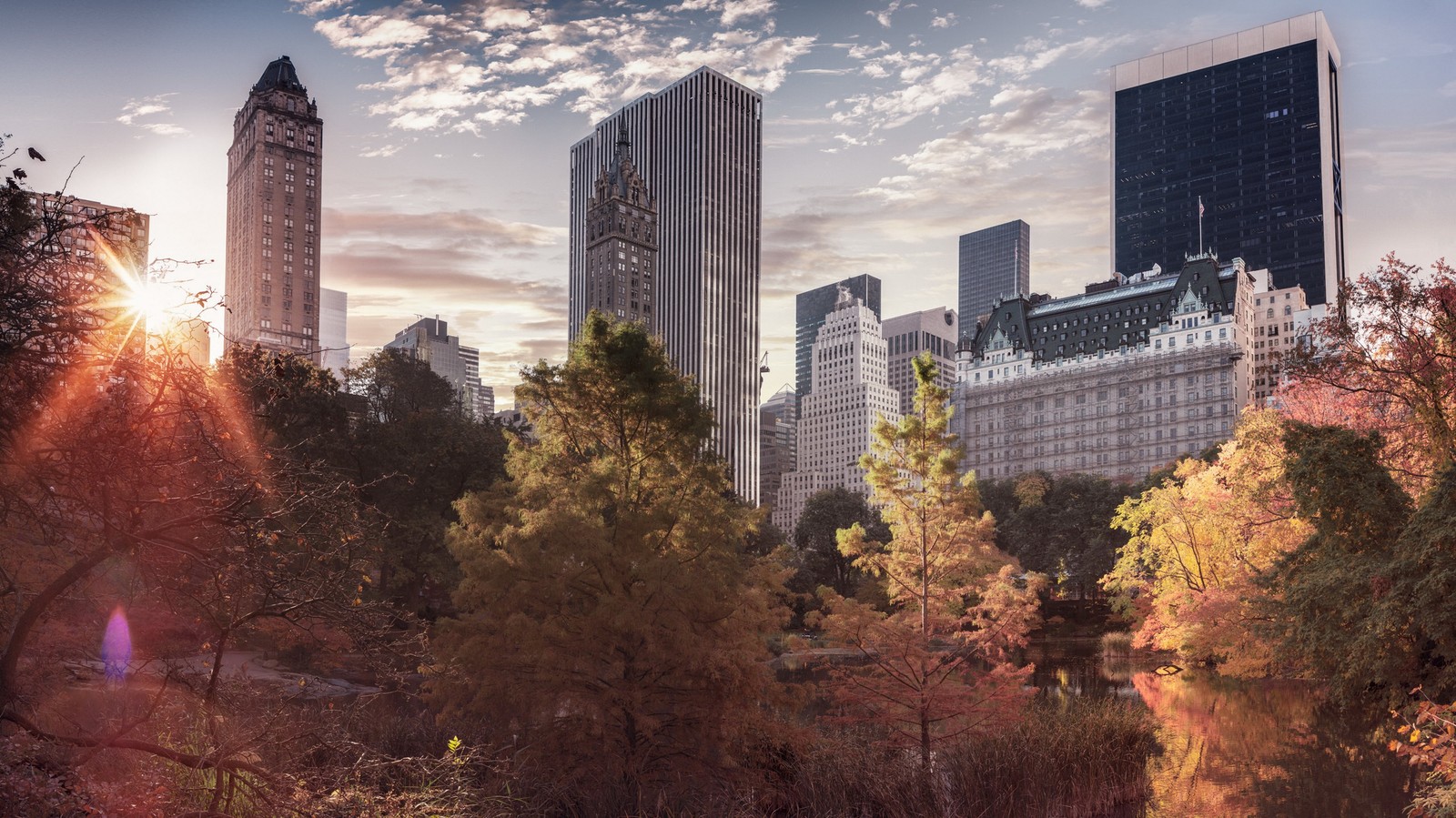 Arbres dans un parc avec des bâtiments en arrière-plan (central park, ville, paysage urbain, horizon, gratte ciel)