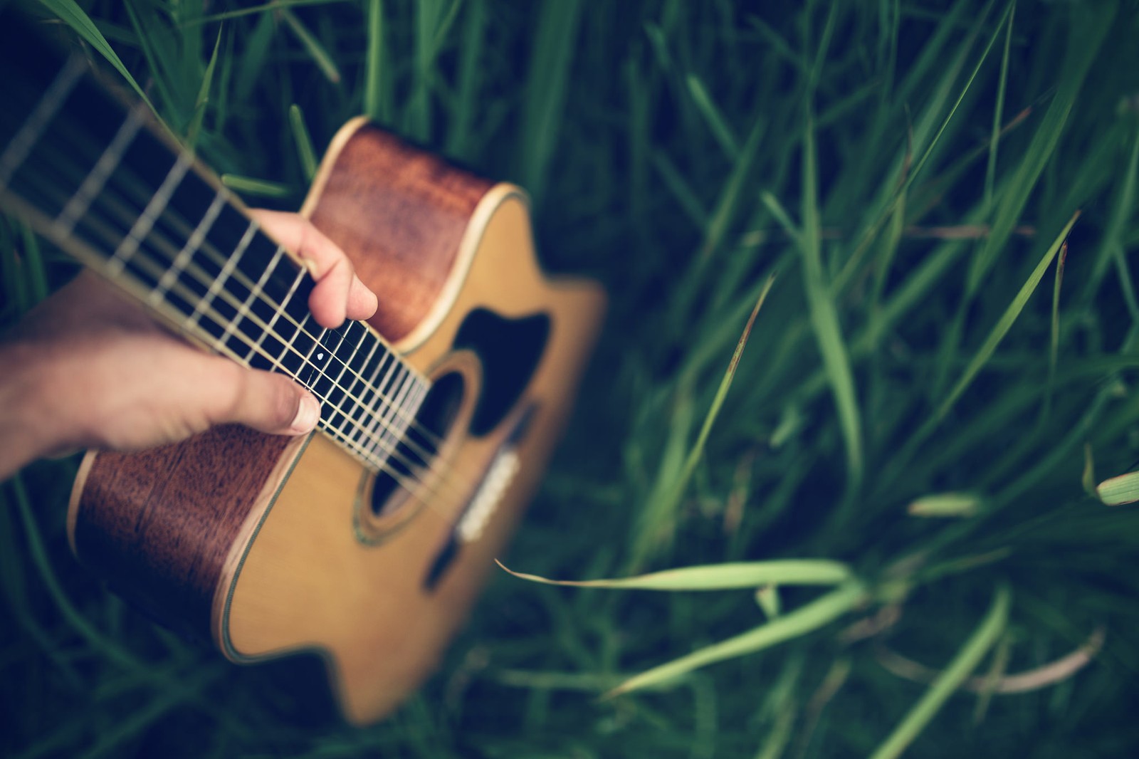 Alguém está tocando guitarra na grama com os dedos (violão acústico, violão, instrumento de cordas, baixo, instrumento musical)