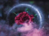 Rose rouge enchanteresse au milieu du brouillard mystique