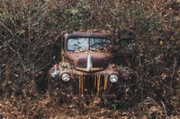 car, rust, vintage car, tree, antique car wallpaper