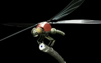 robot, dragonflies and damseflies, wing, machine, unmanned aerial vehicle wallpaper