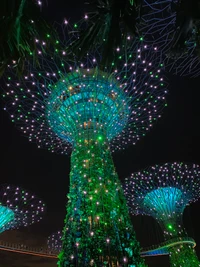 Des lumières de Noël enchanteurs ornent le Supertree Grove de Singapour