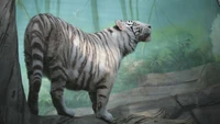 Majestic White Tiger in a Serene Jungle Setting