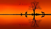 Silhouette of deer and a bare tree against a vibrant orange sunset, reflecting on calm water with migrating birds in the sky.