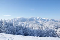 Cordilheira coberta de neve sob um céu azul claro, emoldurada por árvores cobertas de geada e colinas onduladas, capturando a beleza serena do inverno nos Alpes.