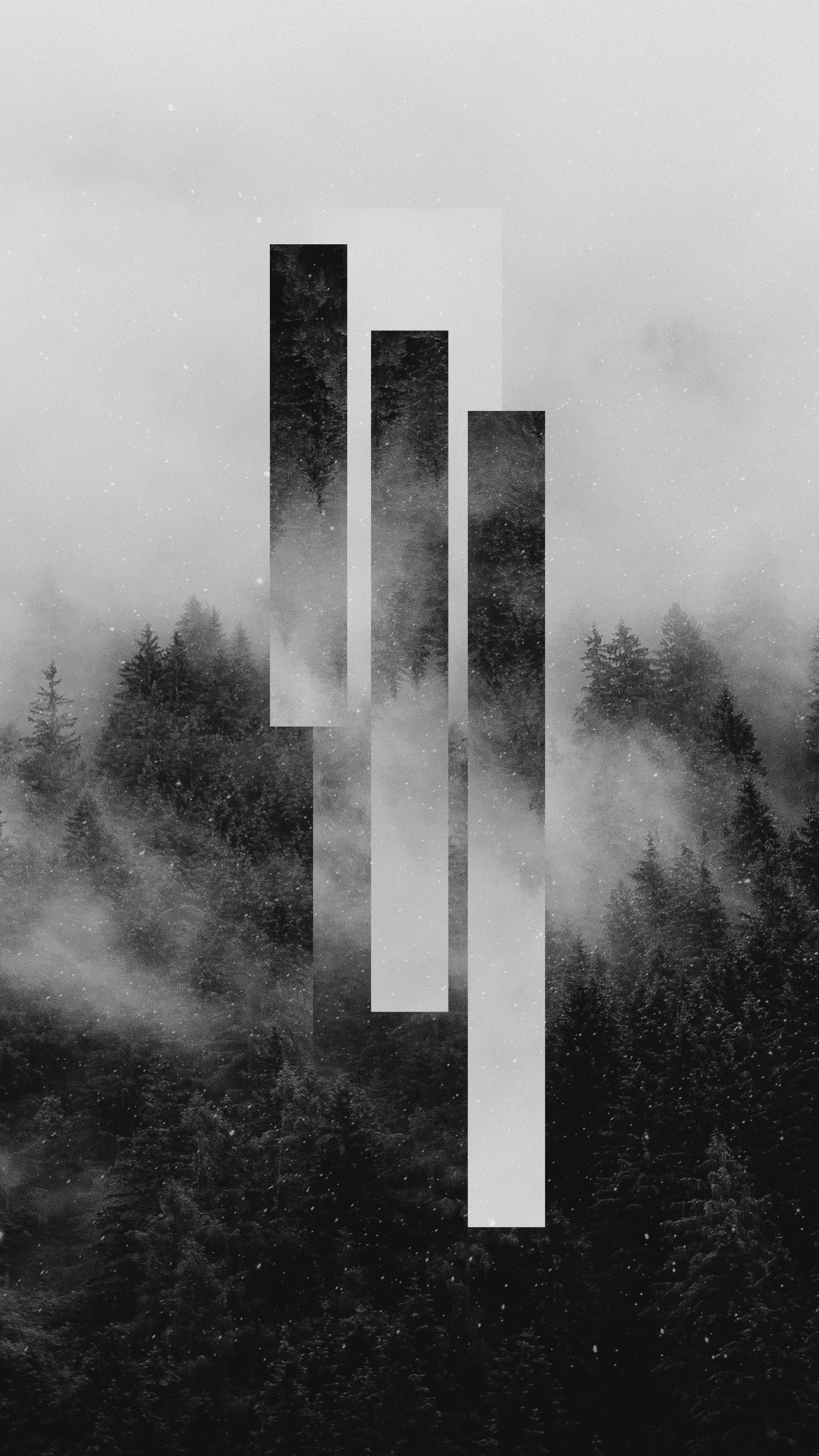 A black and white photo of a forest with a tall tower (water, atmosphere, plant, rectangle, cross)