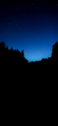 Nuit étoilée sur des arbres silhouettés