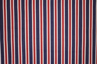 Blue and Red Striped Textile Pattern with Symmetrical Lines