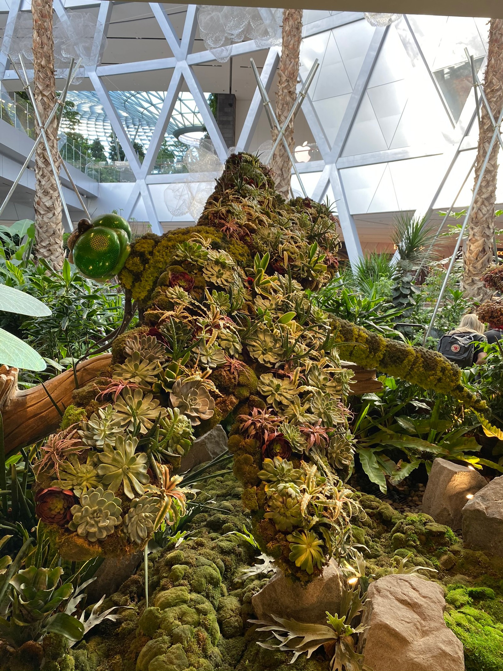 Hay un gran árbol hecho de plantas (biología, ciencia, botánica, planta terrestre, iluminación natural)