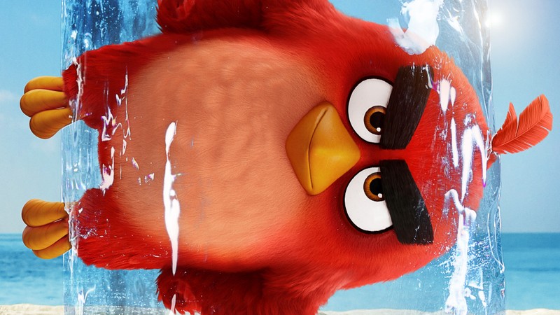 Постер фильма 'разъяренные птицы' с красной птицей в центре льда (angry birds фильм 2, angry birds movie 2, красный)