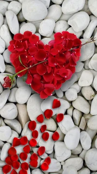 Pétalos de rosa rojos formando un corazón sobre piedras blancas