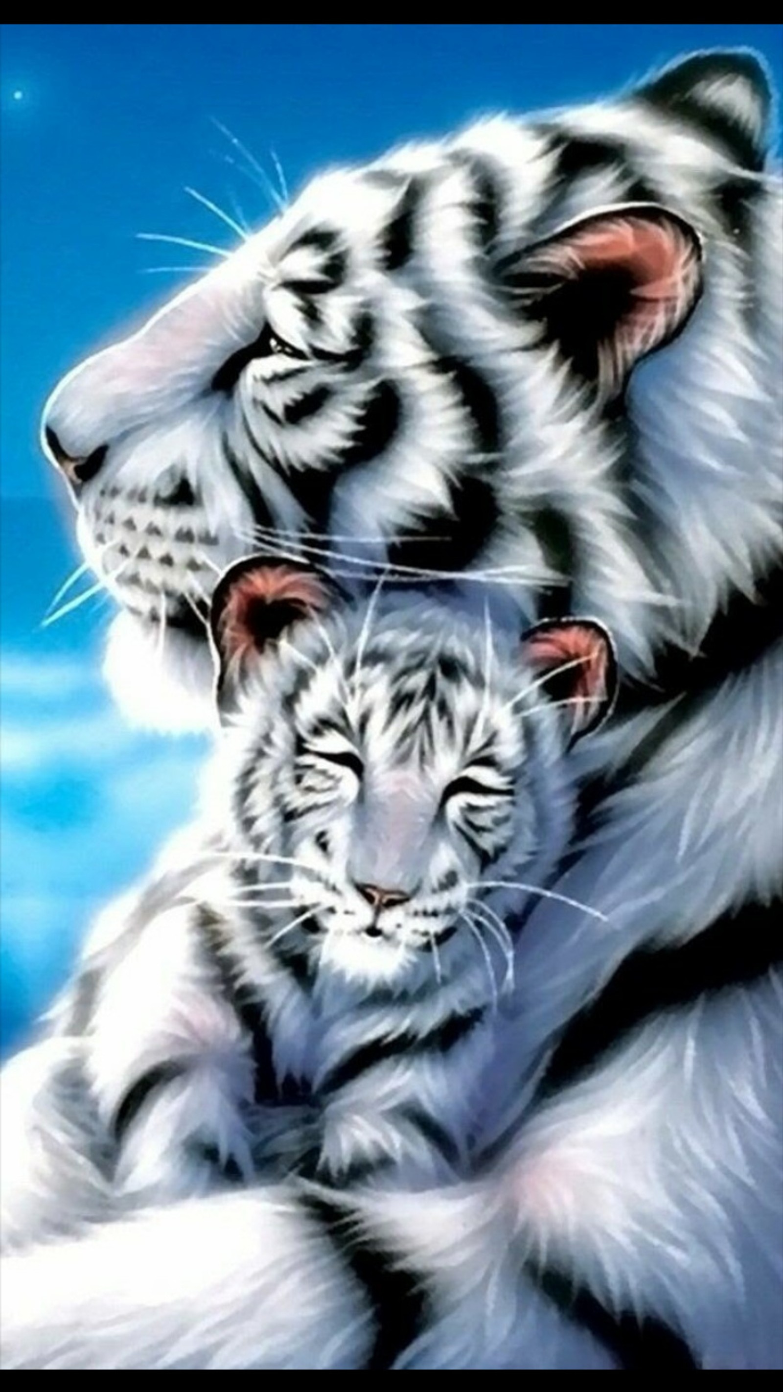 and baby cub, white tiger mother wallpaper