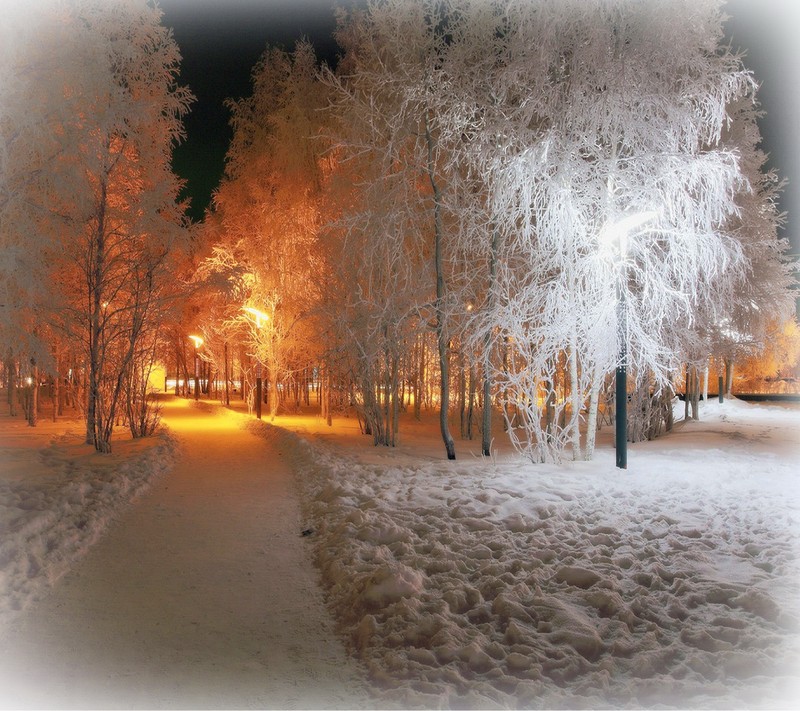 Снежная тропа в парке ночью с уличным фонарем (light path, деревья, зимний снег)