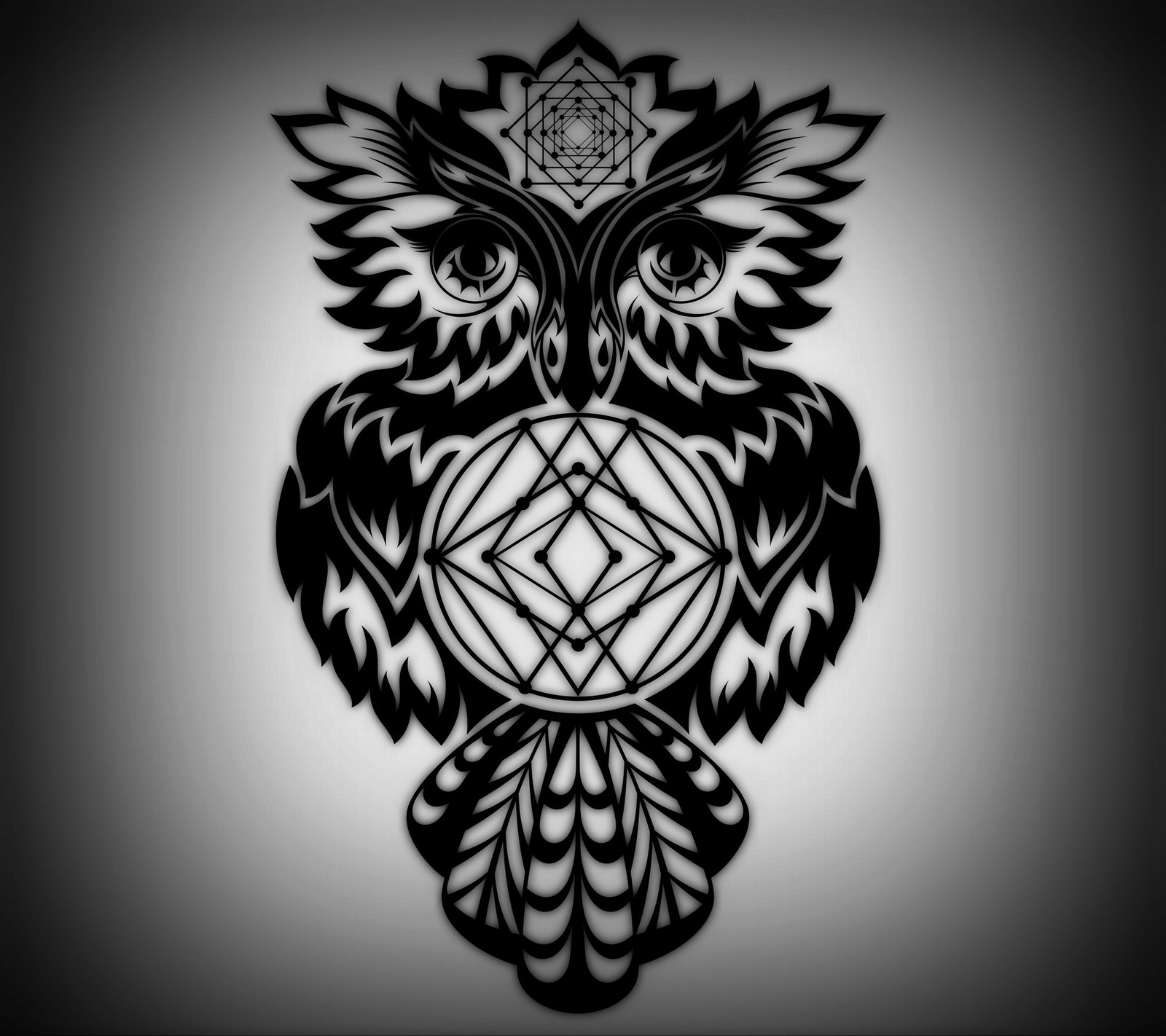 A black and white photo of an owl with a pentagram (art, bird, dark, owl, vector)