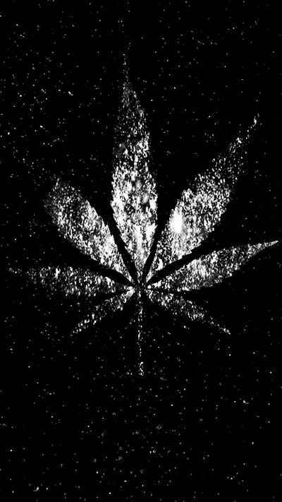 Hoja de cannabis brillante sobre un fondo oscuro