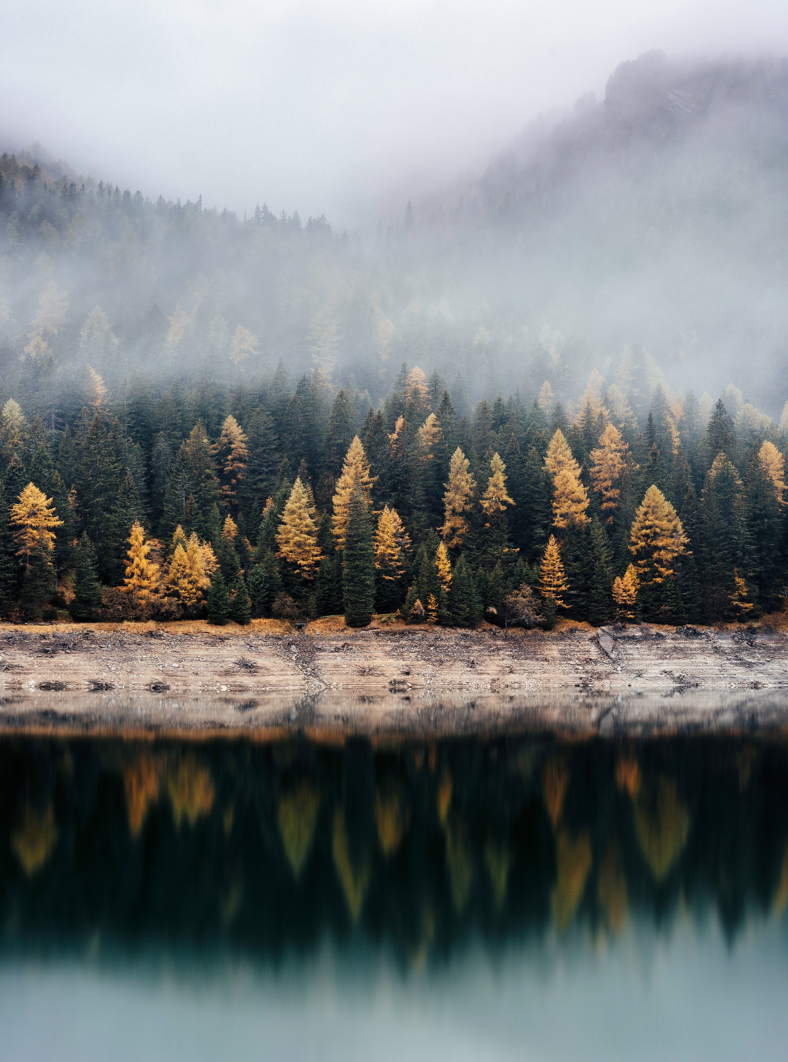 Árboles en primer plano de un lago con una montaña al fondo (otoño, naranja, estaciones, naturaleza, hoja)