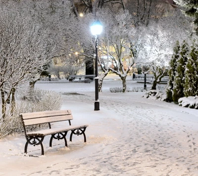 bank, nacht, park, schnee, weiß