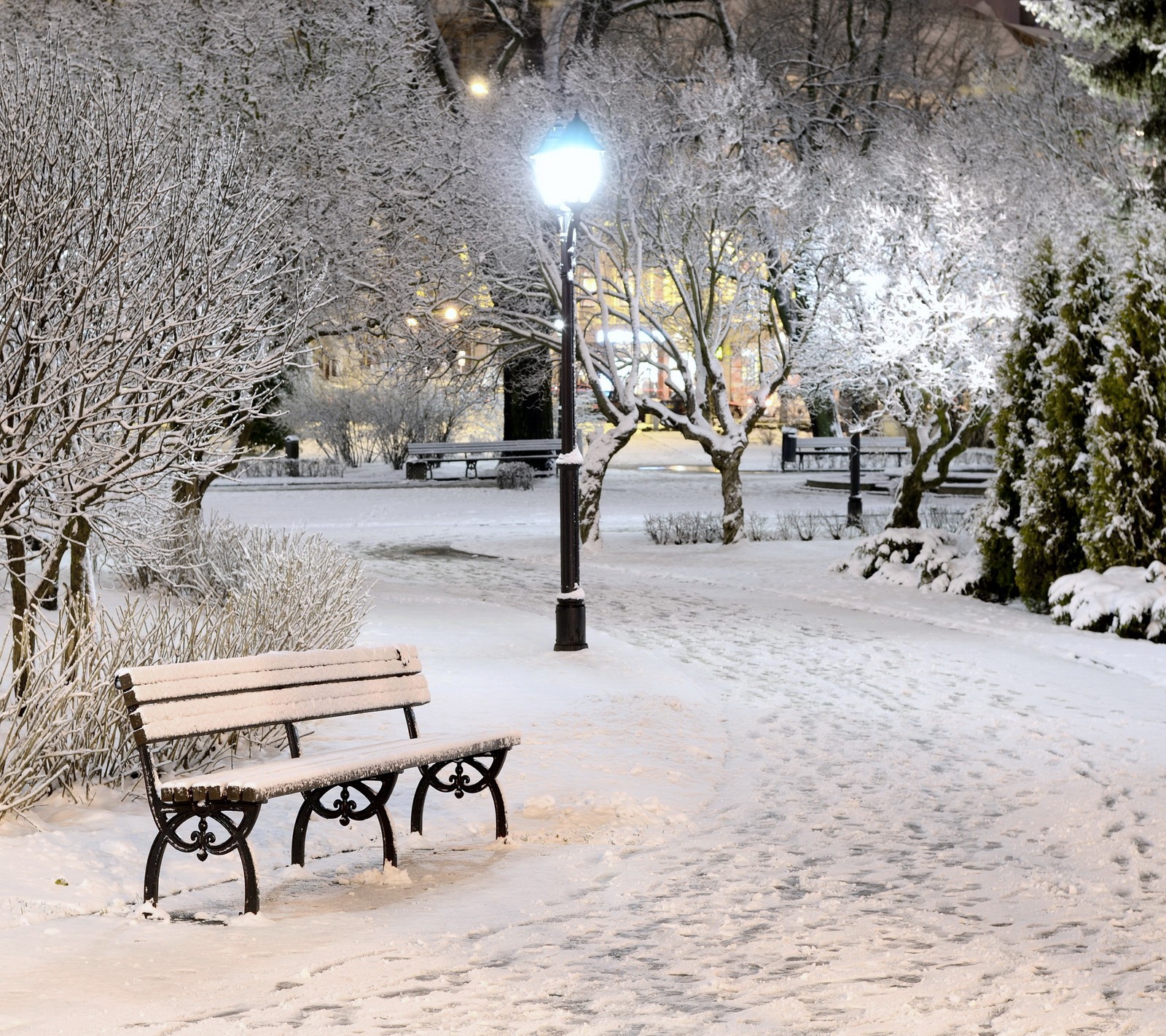 Snowy park bench in the middle of a snowy park at night (bench, night, park, snow, white)