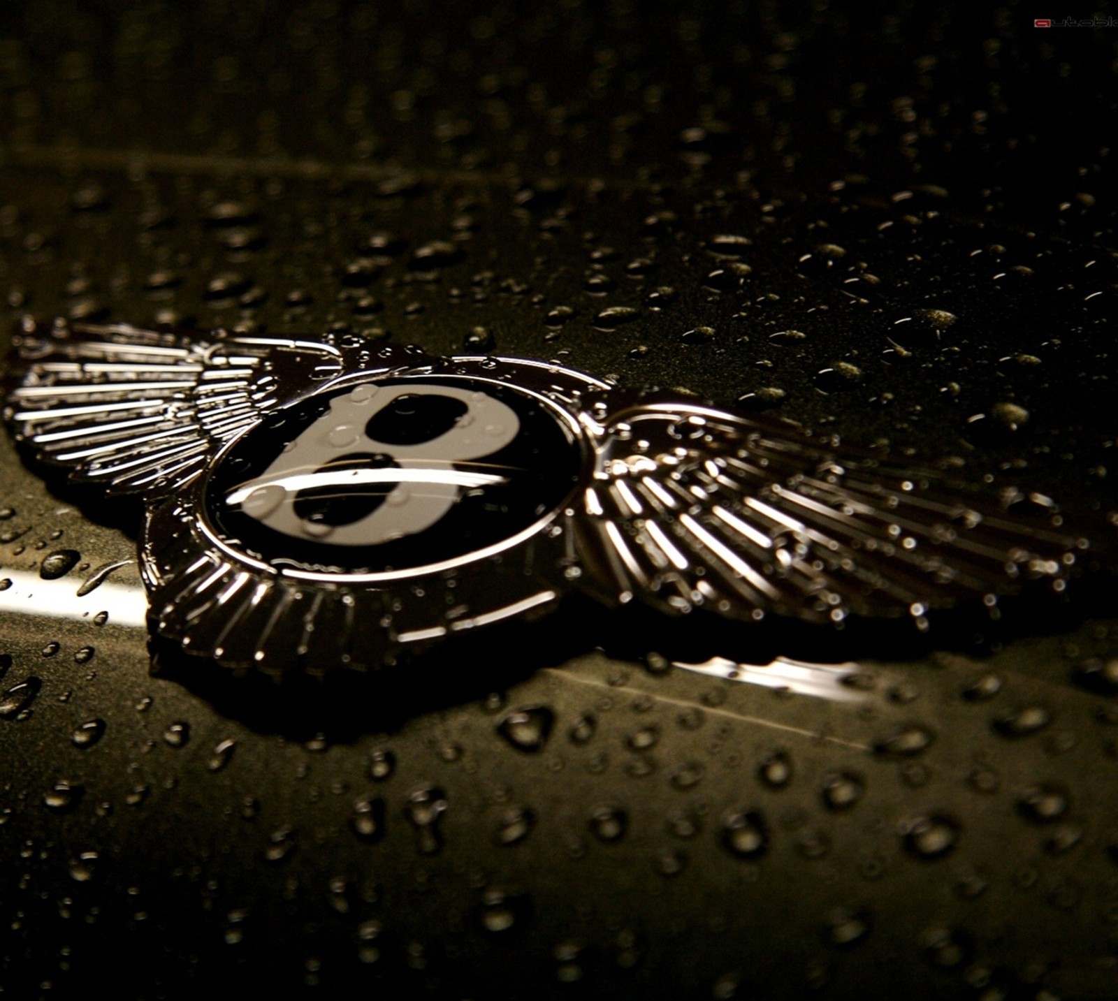 Descargar fondo de pantalla bentley, genial, hd, logotipo, agradable