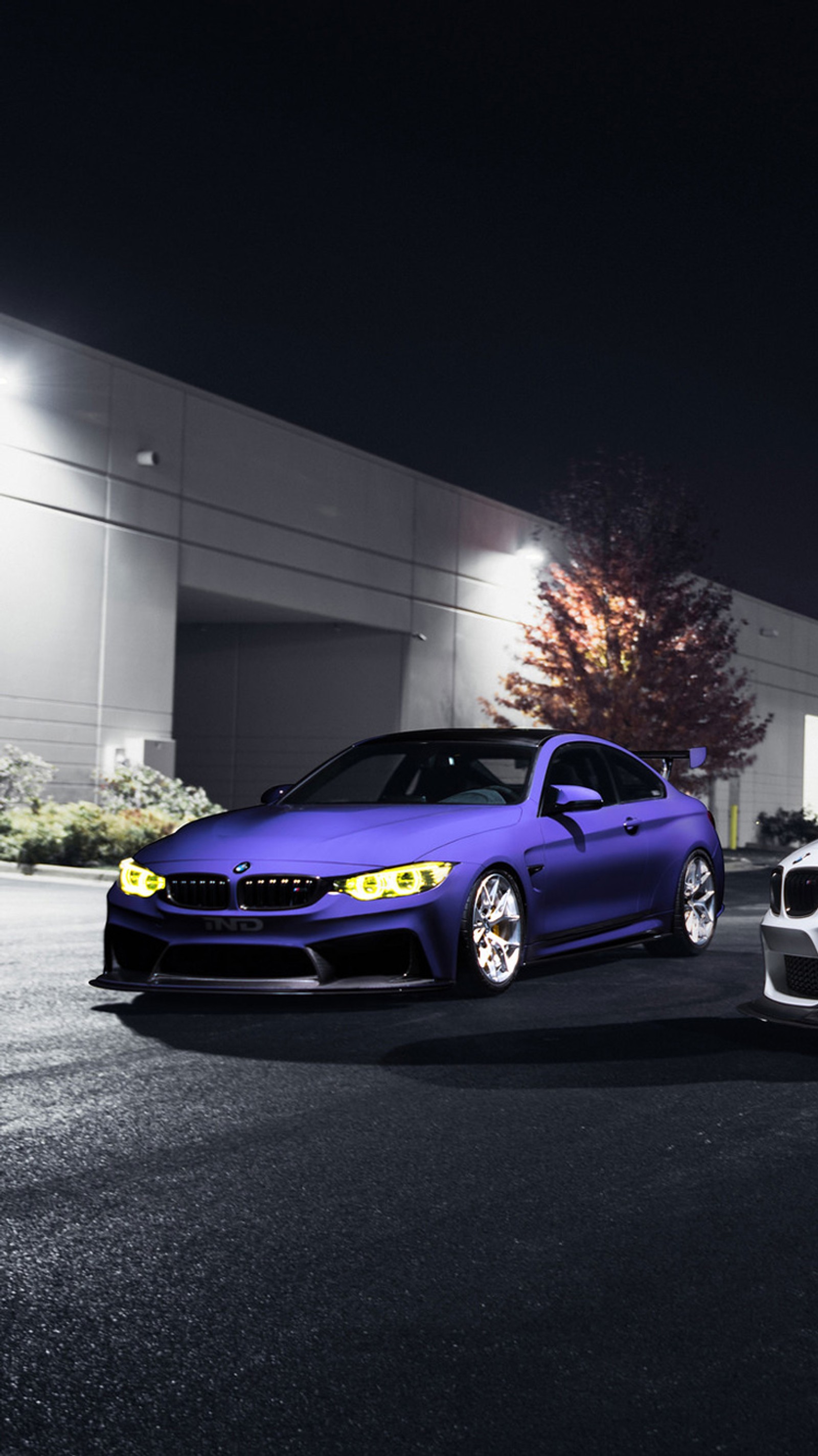 Two cars parked in a parking lot at night with a building in the background (auto, bmw, car, coupe, f82)