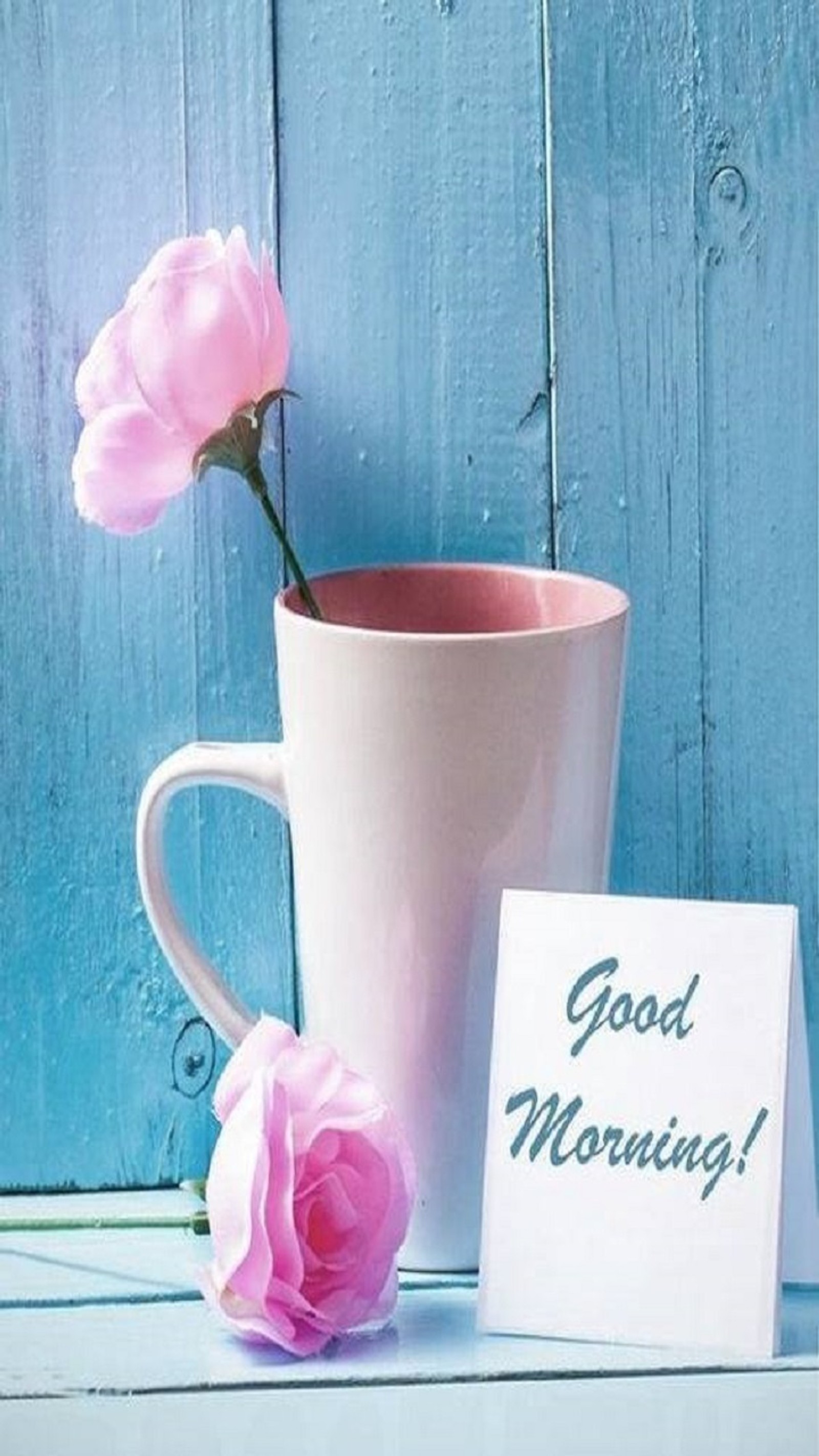 There is a pink rose in a cup next to a card (good morning, roses, cup)