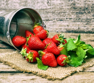 Fresas recién cosechadas derramándose de un balde rústico sobre una superficie de arpillera, rodeadas de vibrantes hojas verdes de menta.