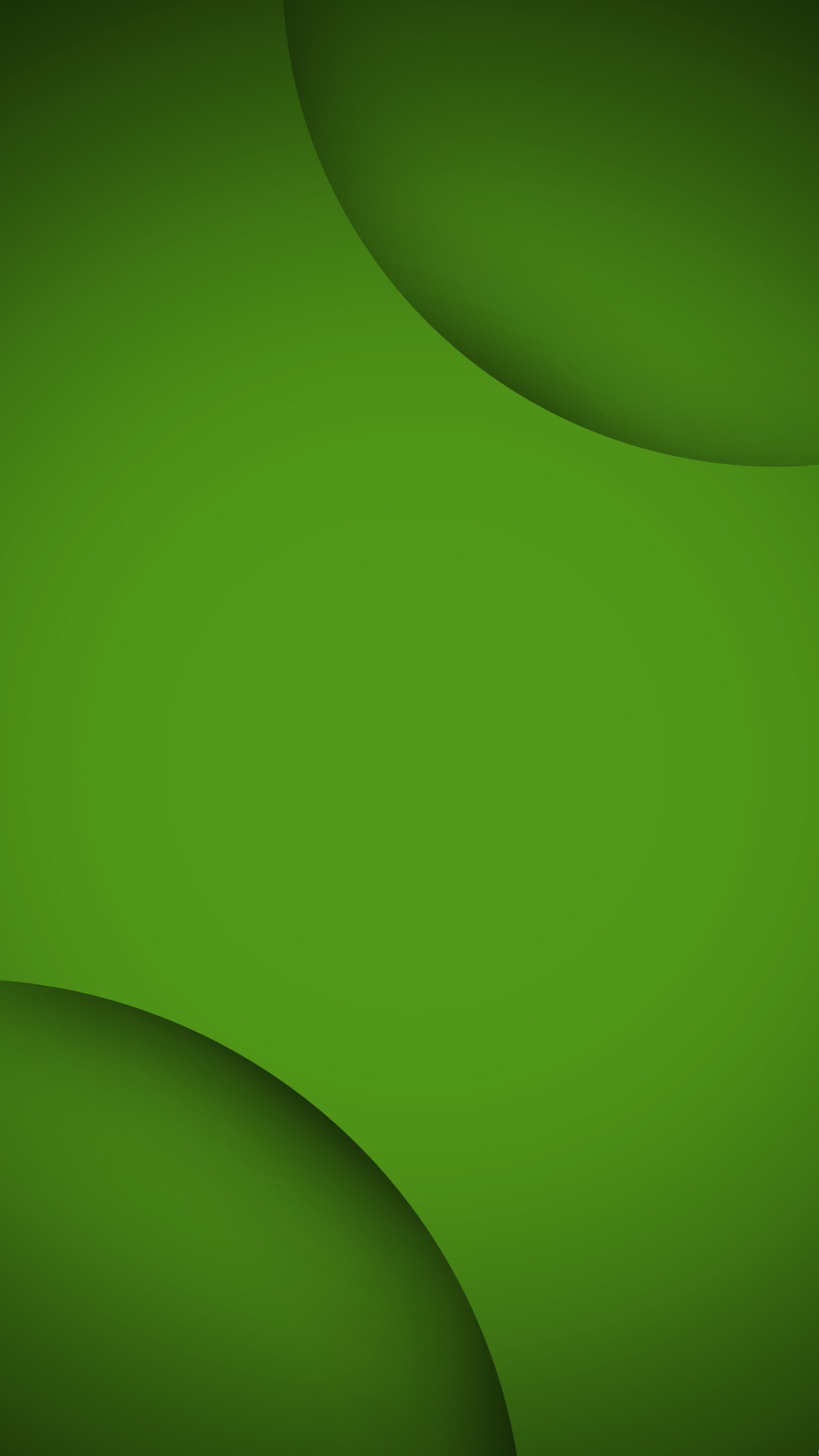 A close up of a green background with a curved design (abstract, circle, color, green)