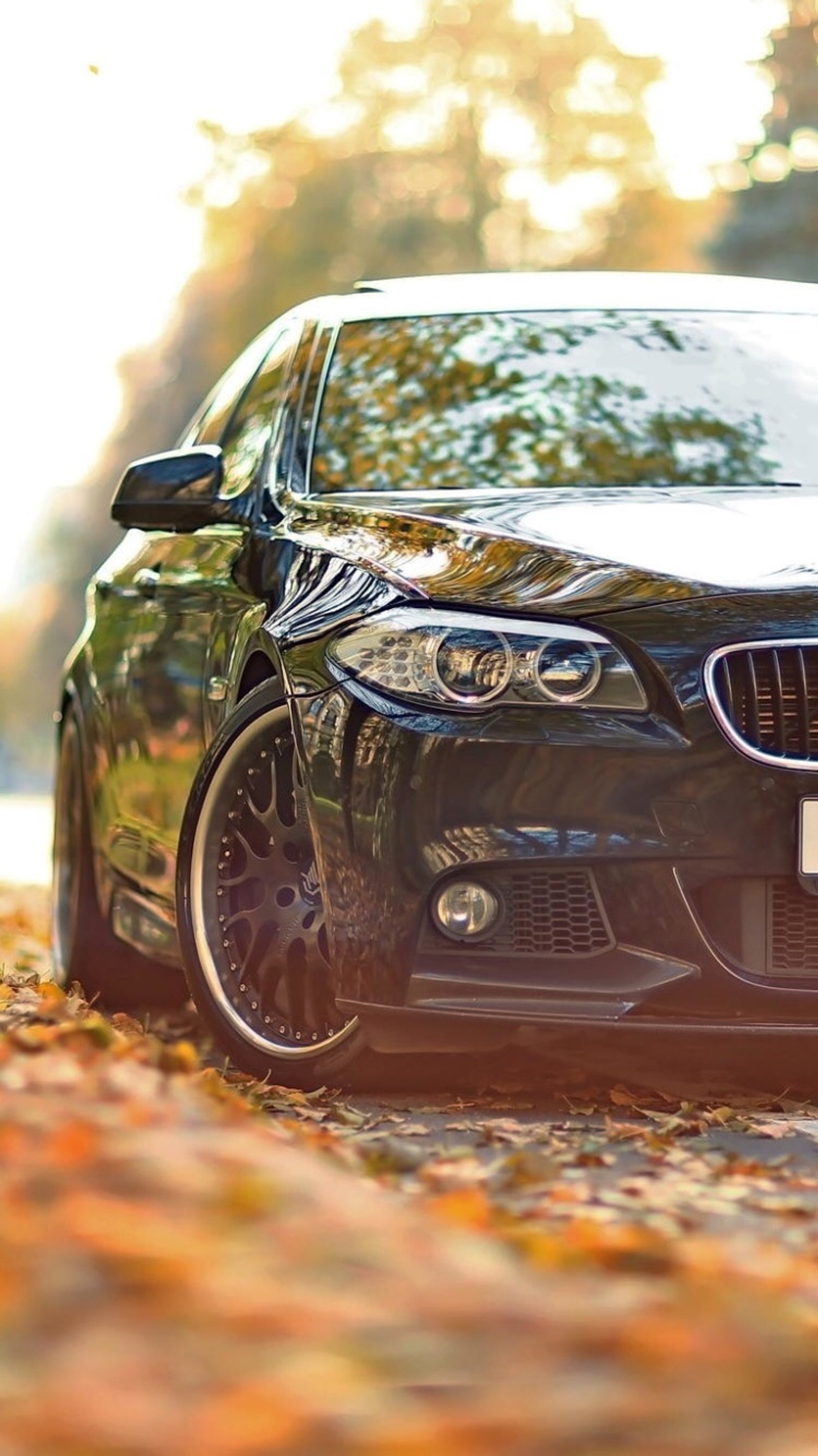 Un coche negro estacionado en una carretera cubierta de hojas en otoño (bmw, deportes, coche, coches)